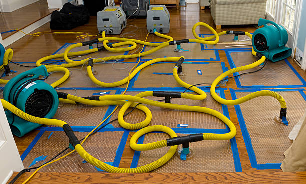 Professional Structural Drying And Dehumidification technician working in McDermott, OH